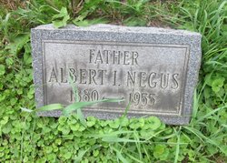  Albert Israel Negus